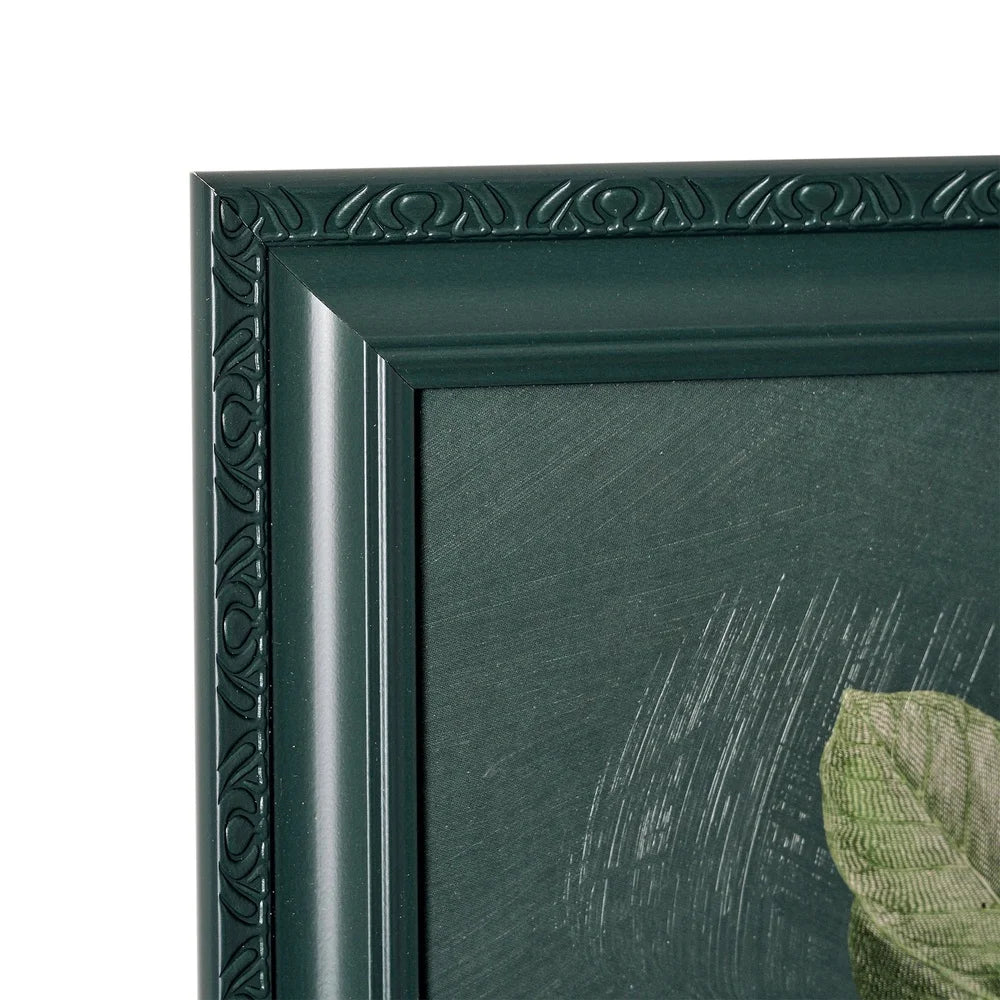 Framed Vintage Botanical Flower Prints Set