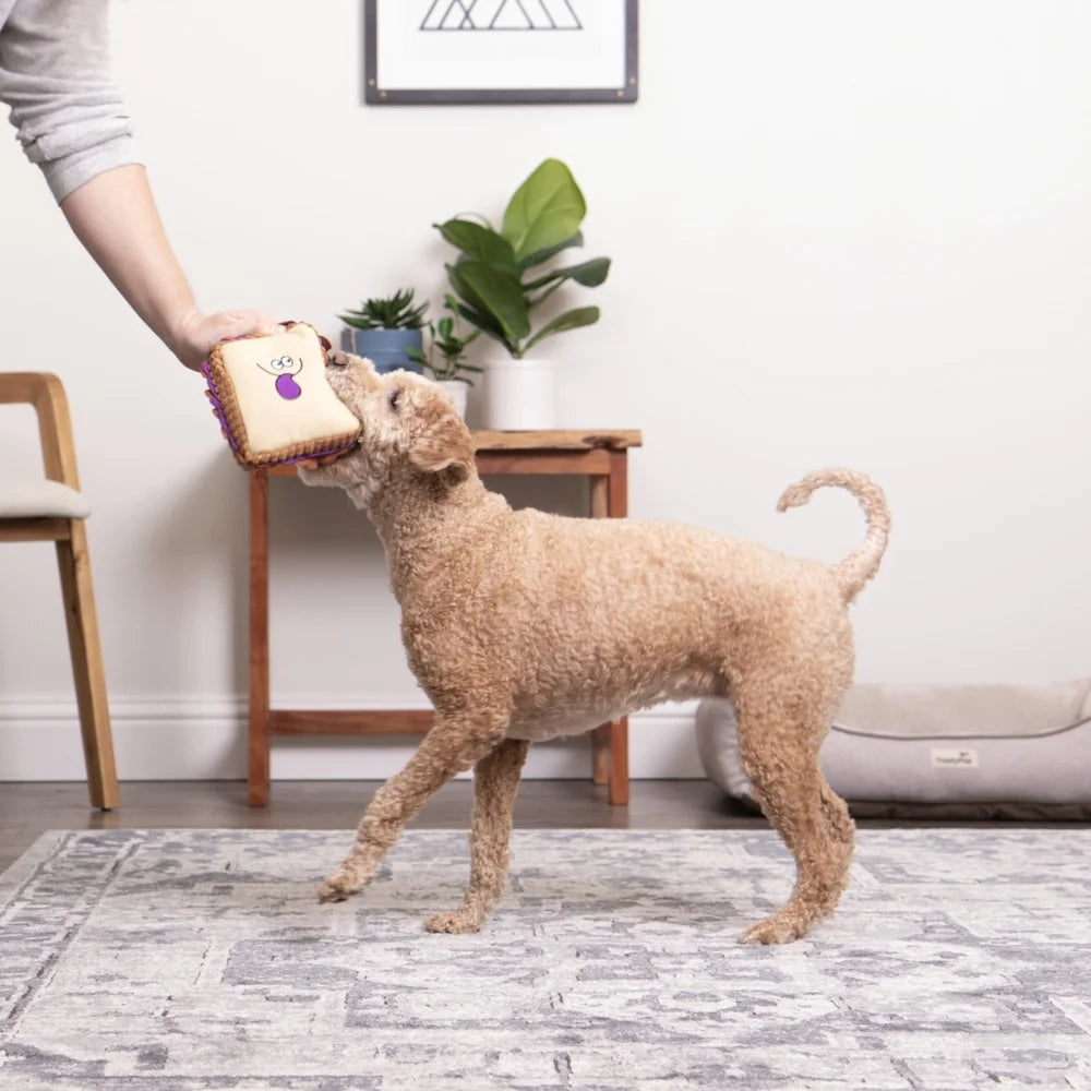 PB&J Plush Squeaker Dog Toy