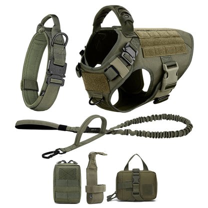 6 pc Dog Harness and Leash Set