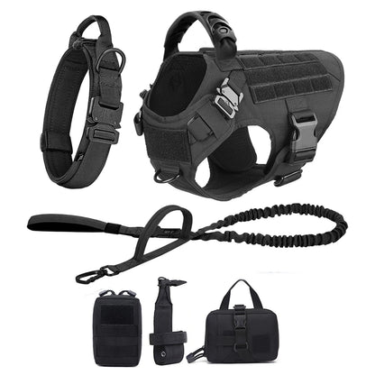6 pc Dog Harness and Leash Set