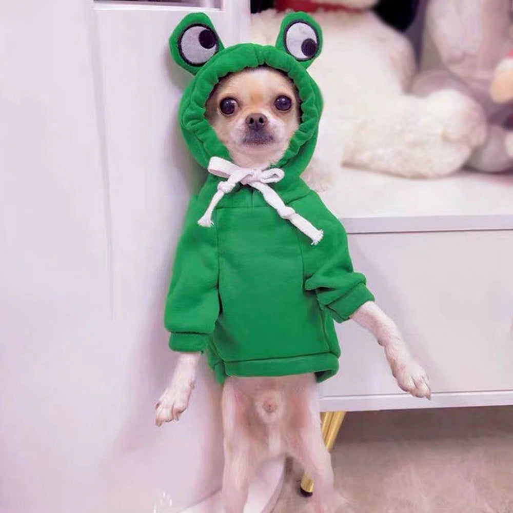 Warm Fleece Fruit Dog Hoodies