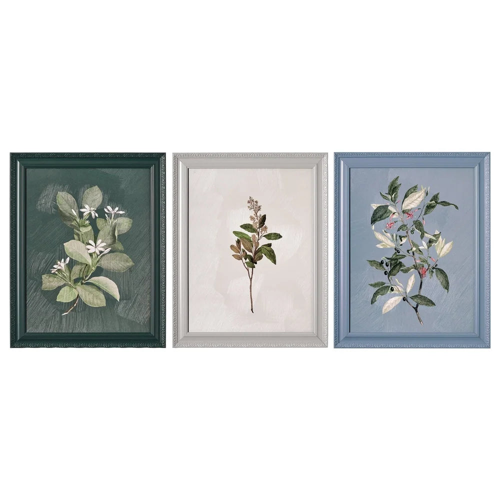 Framed Vintage Botanical Flower Prints Set