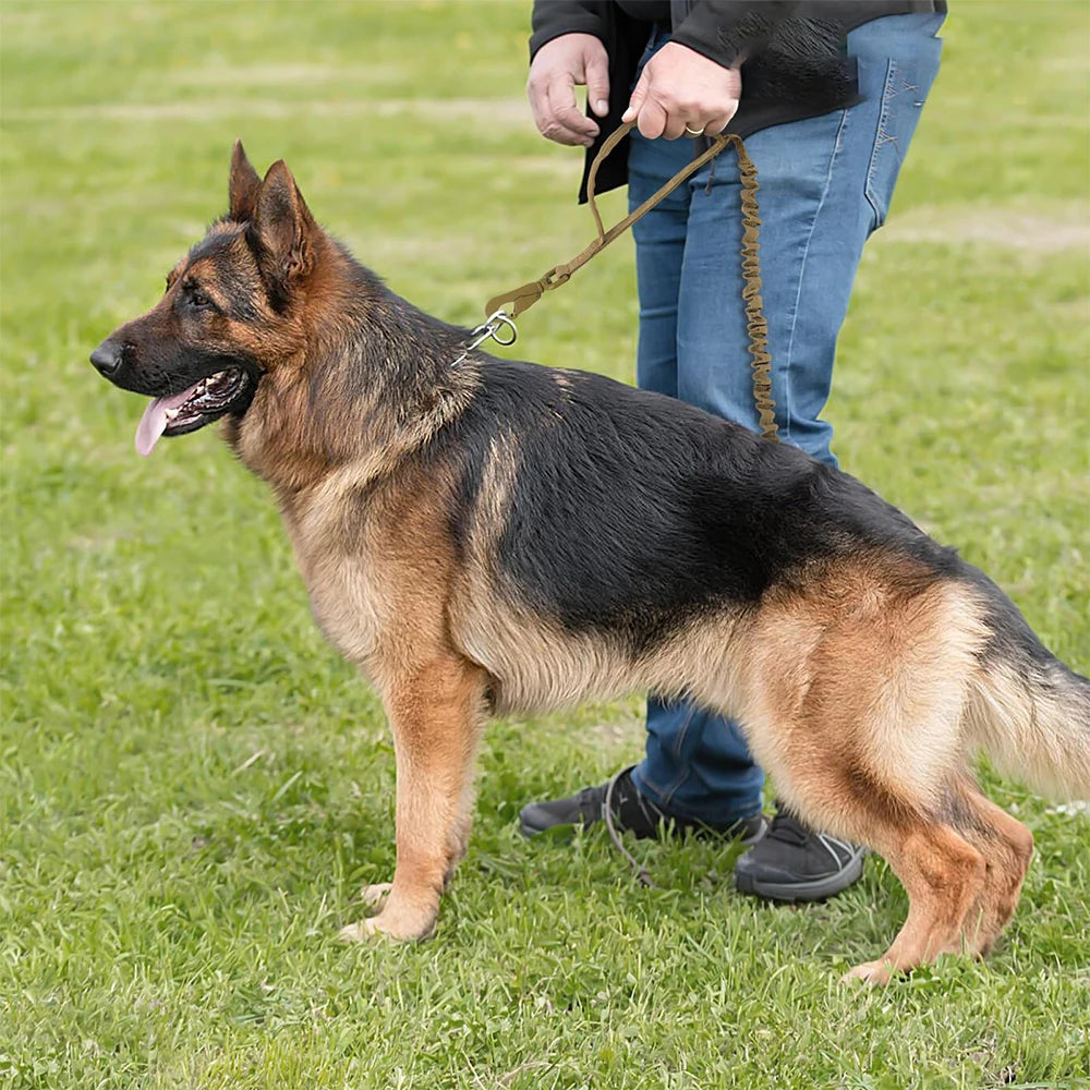 Military Dog Leashes Adjustable and Quick Release