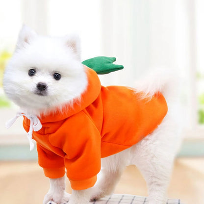Warm Fleece Fruit Dog Hoodies
