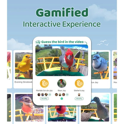 Smart Bird Feeder with Camera