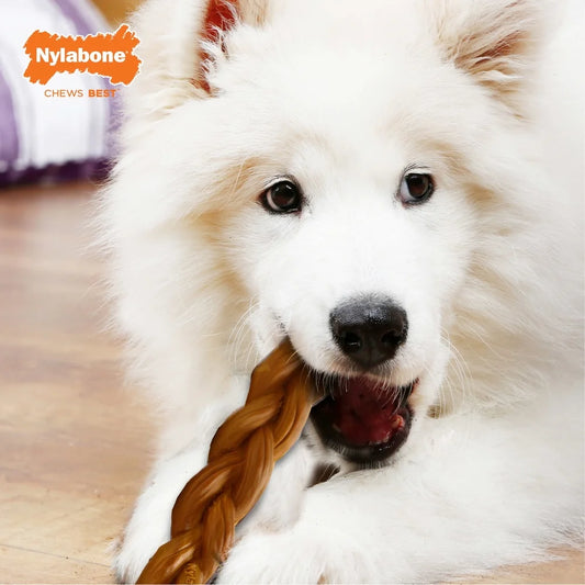 Large Nylon Braided Power Chew Toy