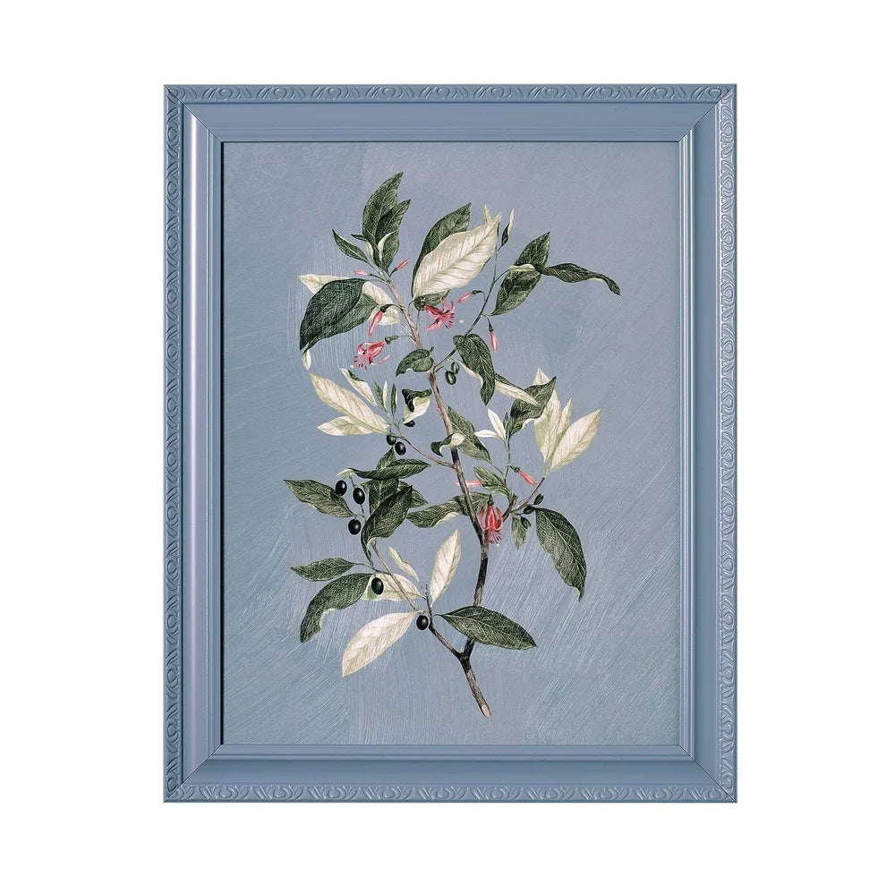 Framed Vintage Botanical Flower Prints Set