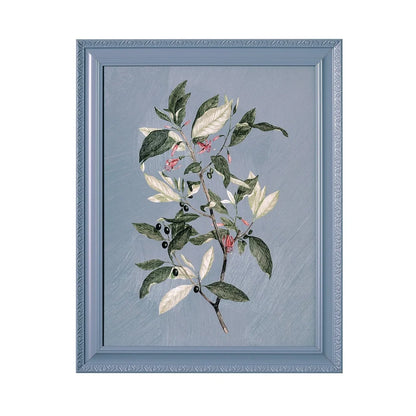 Framed Vintage Botanical Flower Prints Set