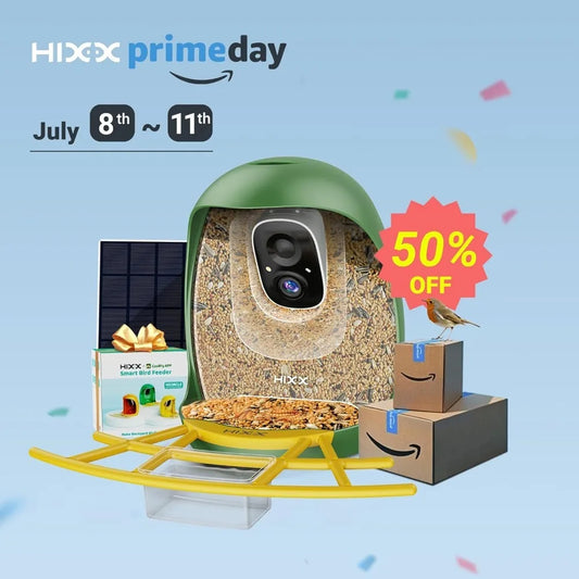 Smart Bird Feeder with Camera