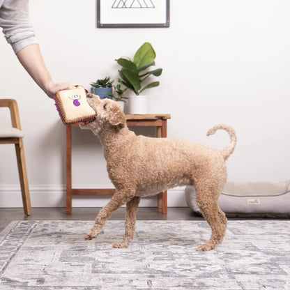 PB&J Plush Squeaker Dog Toy