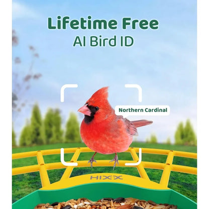 Smart Bird Feeder with Camera