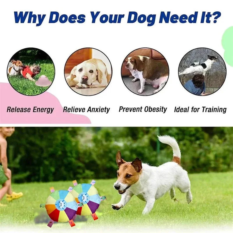 Rainbow Plush Flying Saucer Dog Toys