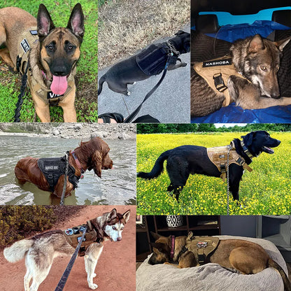 6 pc Dog Harness and Leash Set