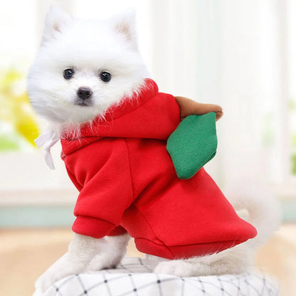 Warm Fleece Fruit Dog Hoodies