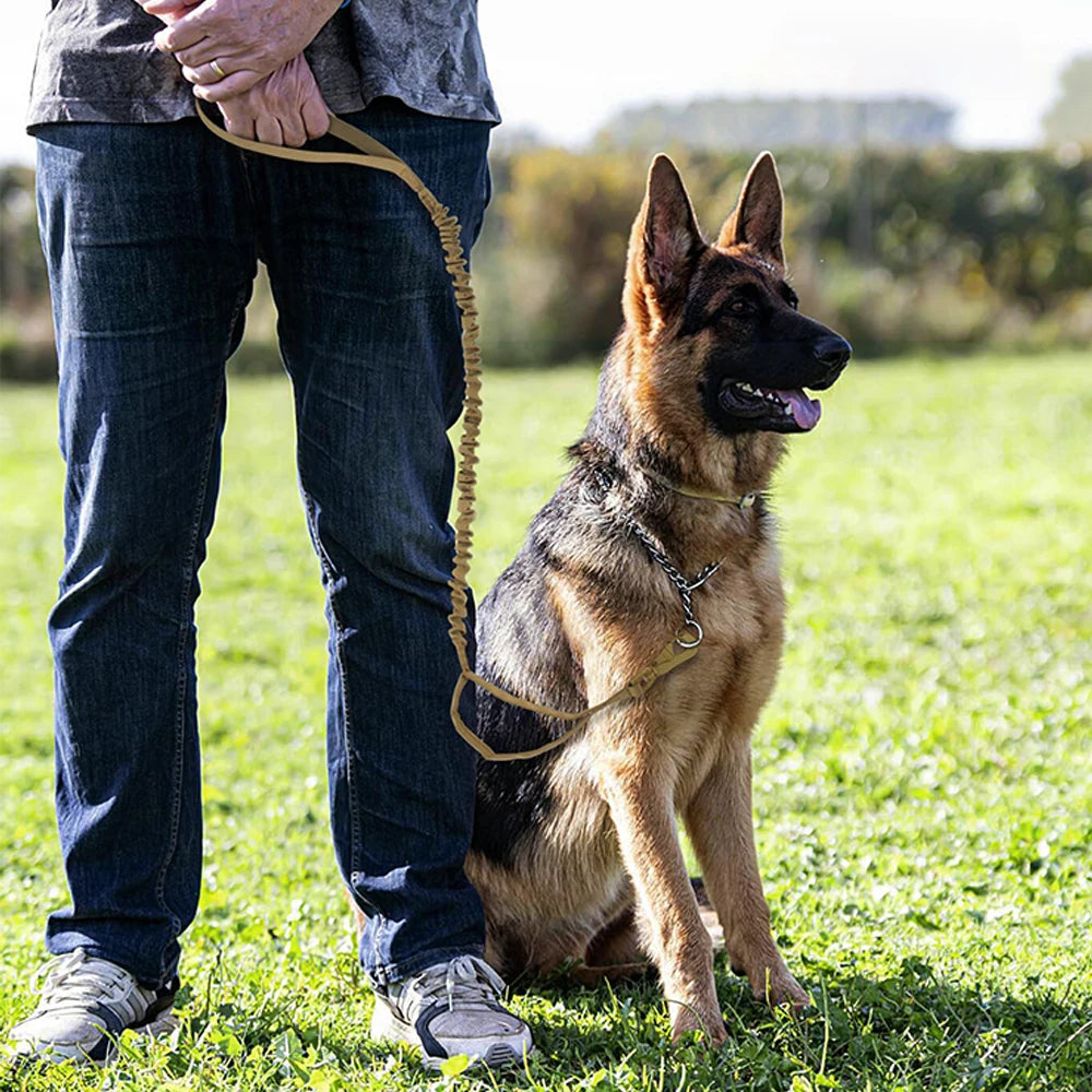 Military Dog Leashes Adjustable and Quick Release