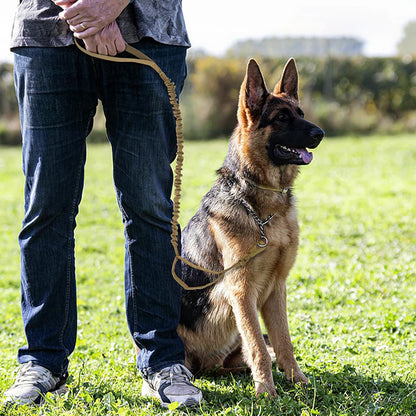 Military Dog Leashes Adjustable and Quick Release
